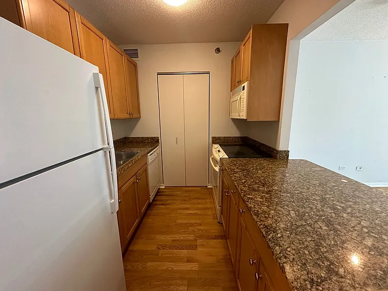 400 N La Salle Dr #906 — Photo 12