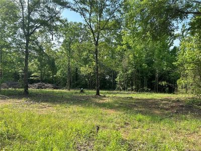 0 Lee Road 348, Salem, AL, 36874