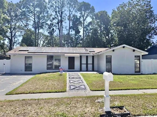 310 Silver Hill Dr, Valrico, FL 33594
