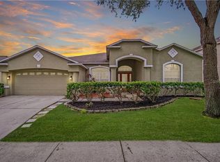 2837 Buckhorn Preserve Blvd, Valrico, FL 33596