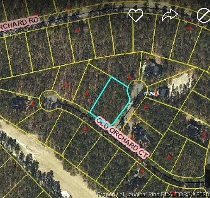 1st image of 15 Pinedale Ct