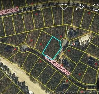 15 Pinedale Ct, Wagram, NC, 28396