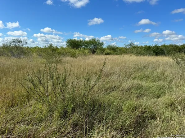 197 County Road 305, Calliham, TX 78007