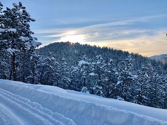Winter wonderland!