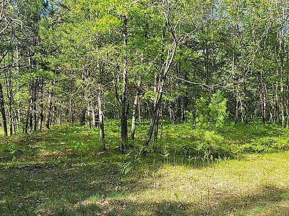5th image of PARCEL 3 Sumac Trl