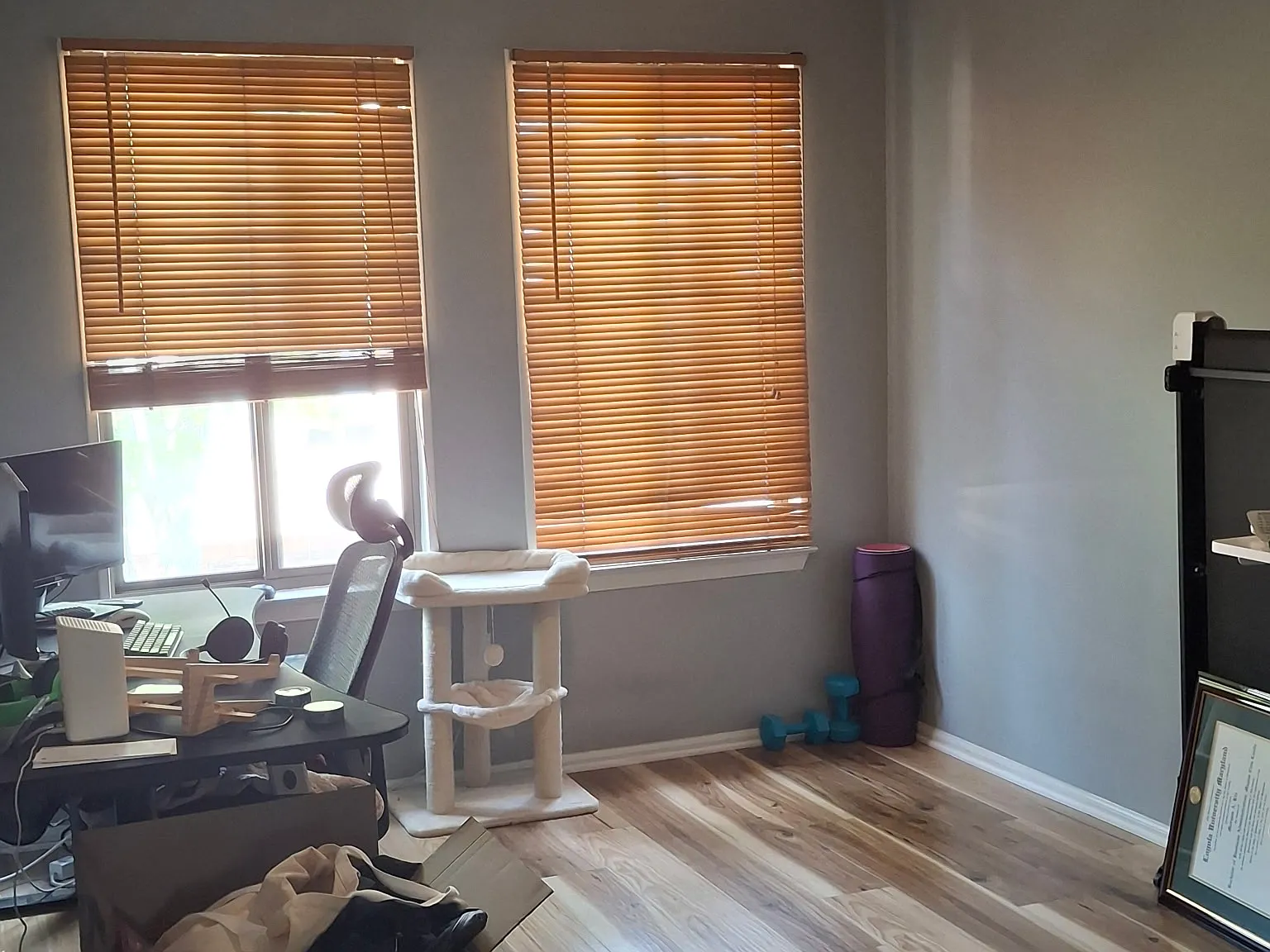 2 bed, 1.5 bath, 900 sqft, $2,000 — Photo 4