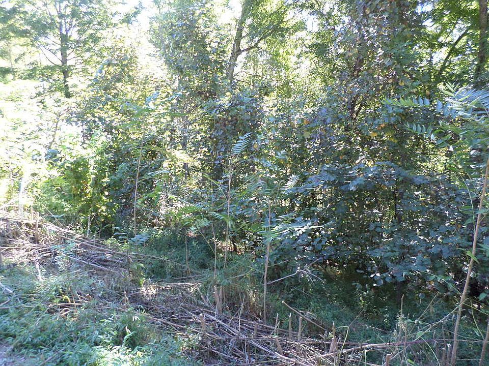 1st image of 710 Shanghai Landing Ln