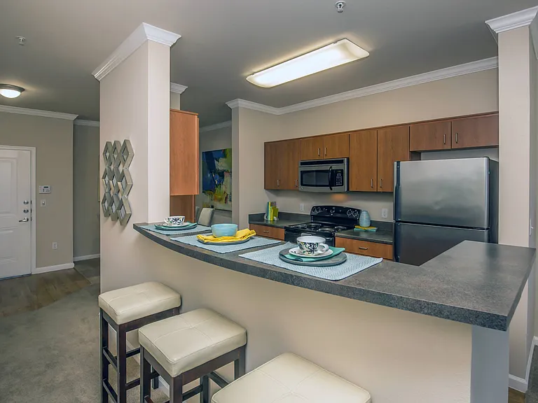 1F1 859-871 SQ FT 1 Bed 1 Bath