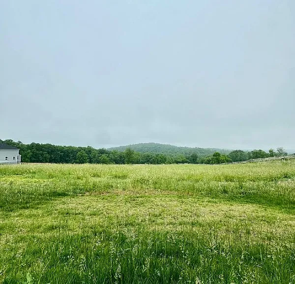 9080 Piney Mountain Rd — Photo 17