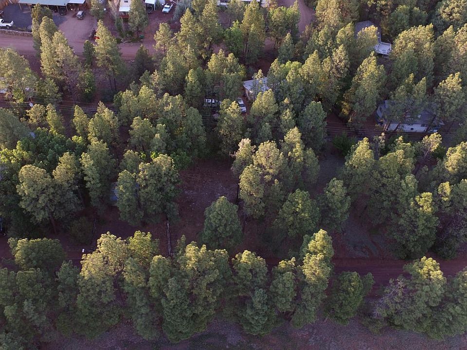 3 lots with gorgeous pines