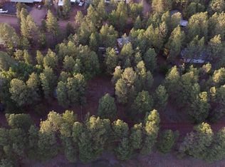2802 Beaver Rd, Lakeside, AZ 85929