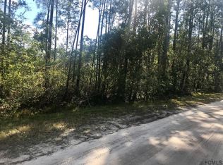 4375 Evergreen Ave, Bunnell, FL 32110