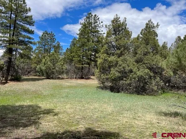 198 Allison Place, Pagosa Springs, CO 81147