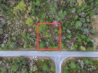 Malauka Ln LOT 24, Ocklawaha, FL 32179