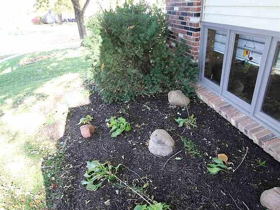 4th image of 5601 Dogwood Dr