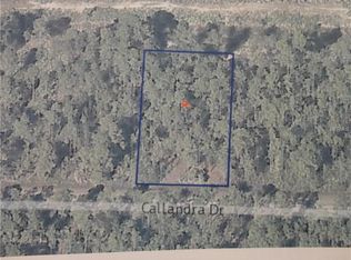 714 Calliandra Dr, Lake Wales, FL 33855