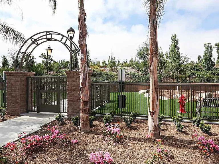 Pet Park