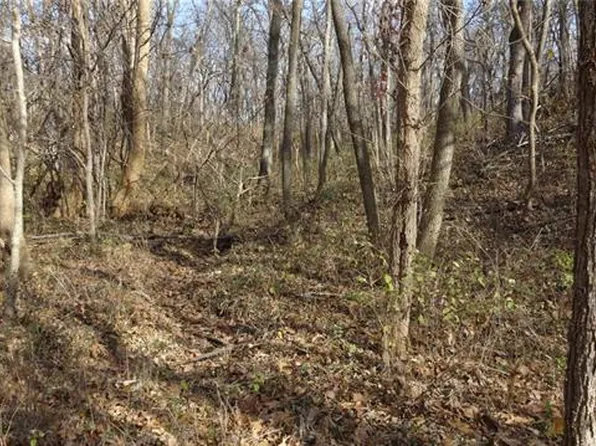 4502 Road, Amsterdam, MO 64723