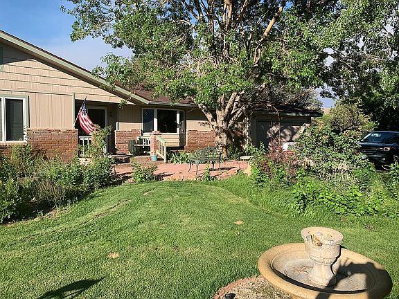 Front yard 