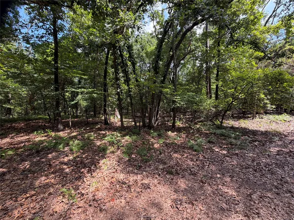 29 & 30 King Arthur Ct, Scroggins, TX 75480
