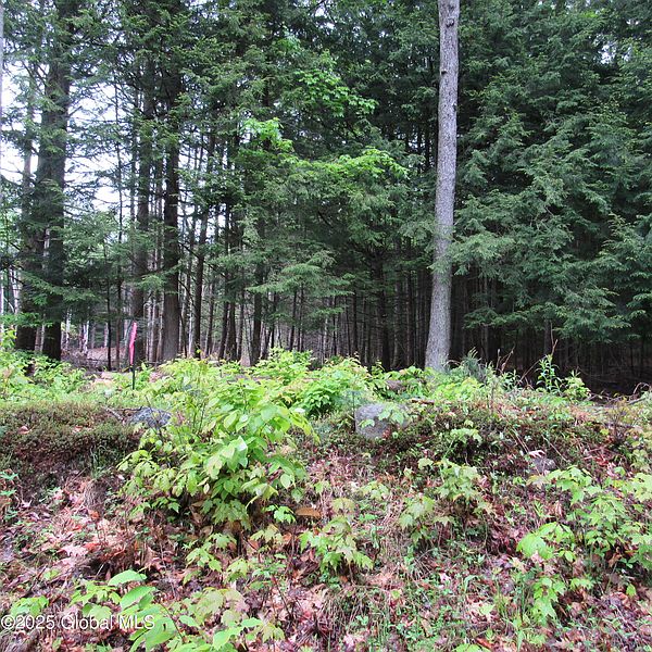 2nd image of L5 Seven Hills Road