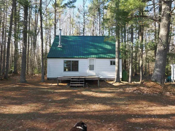 6035 W Sadlers Loop, Seney, MI 49883