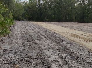 Peanut Dr, Webster, FL 33597