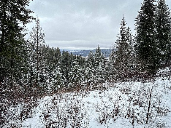 5th image of Deer Creek Rd