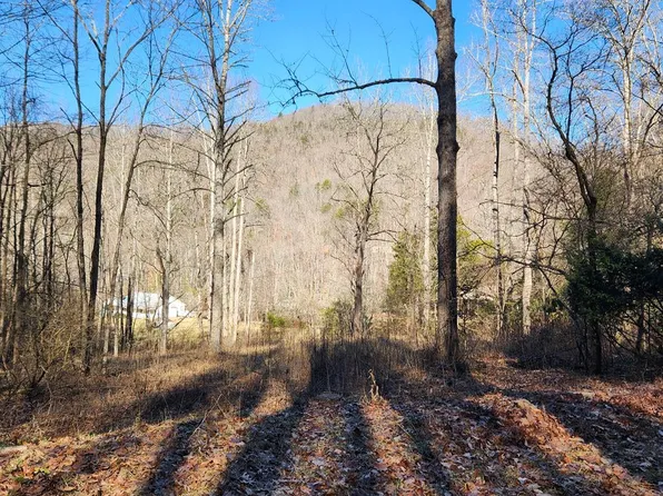 117 Holly Ln, Franklin, NC 28734