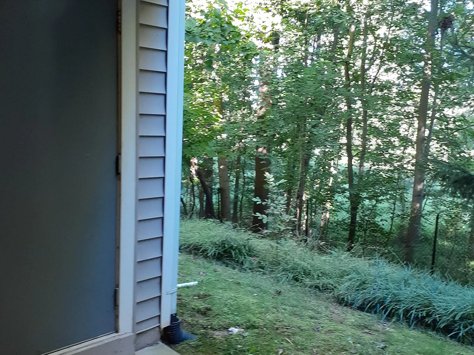 12816 Fair Briar Lane - 1 — Photo 2