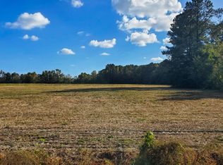 1 Highway 366 LOT 1, Conway, SC 29526