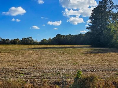 TBD 1 Highway 366 Lot 1, Conway, SC, 29526