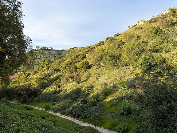 serene canyon view
