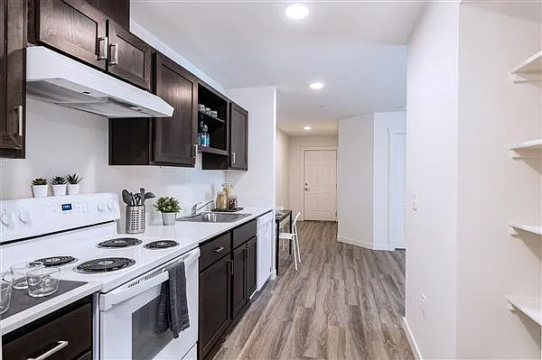 Juniper Apartments — Photo 4