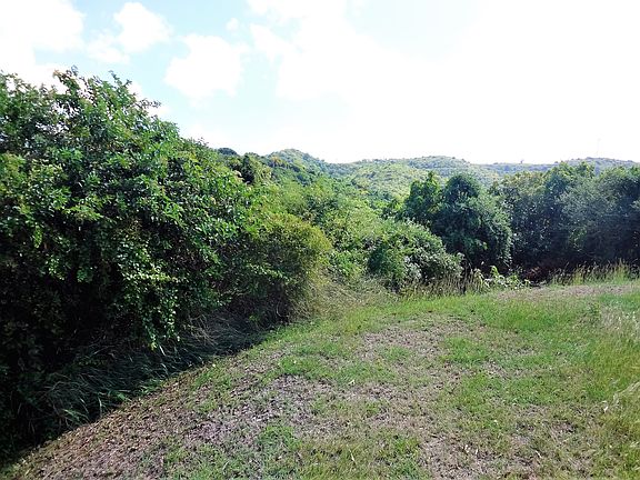 4th image of 58 Eliza's Retreat