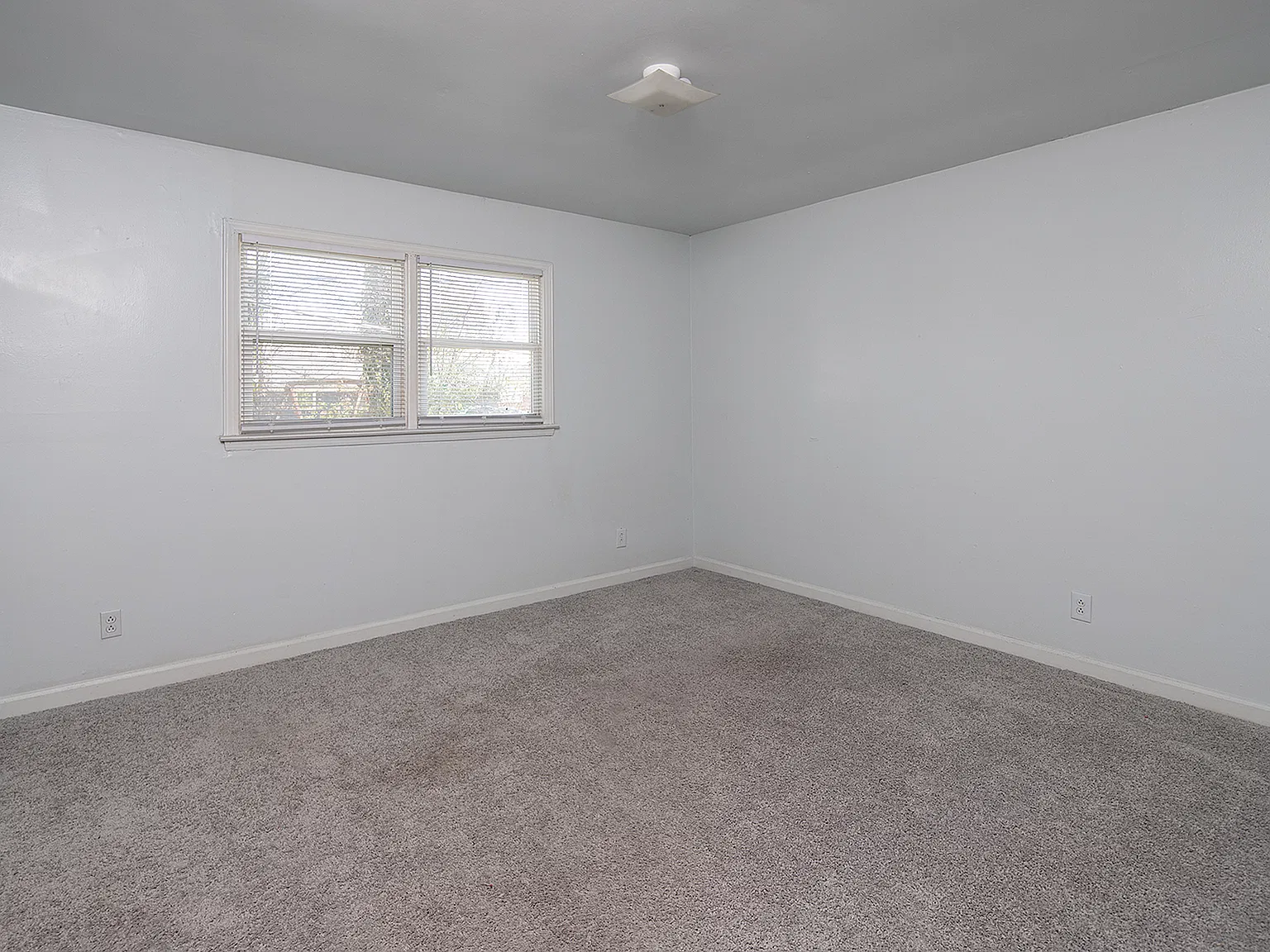 2 bed, 1.5 bath, 950 sqft, $1,200 — Photo 2