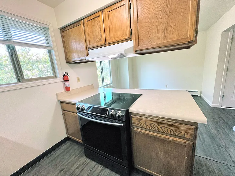 11528 Heritage Ct — Photo 4
