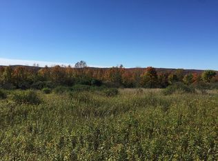 8924 Reynolds Rd, Franklinville, NY 14737