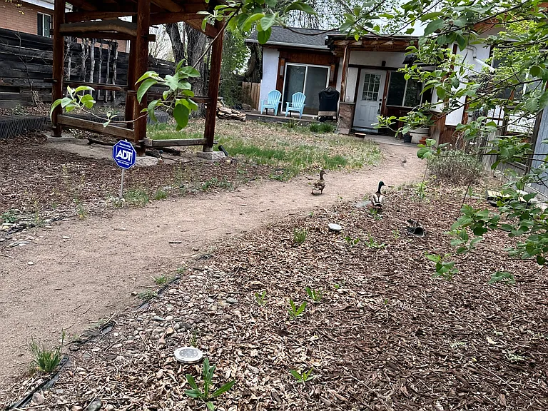 2933 W Short Pl — Photo 6