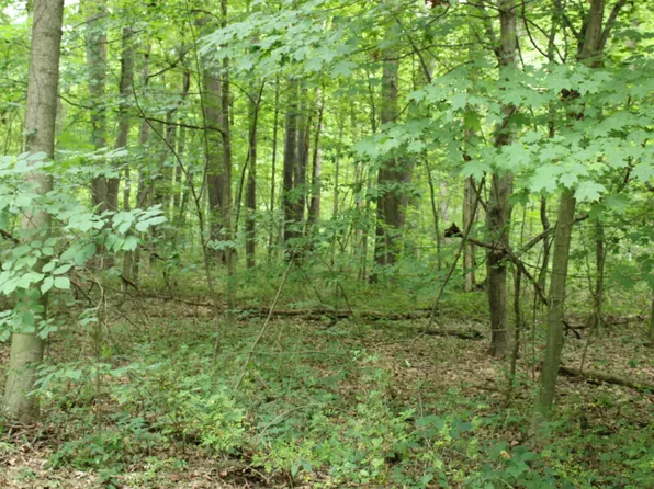 17 Ross Dr, Benton Harbor, MI 49022