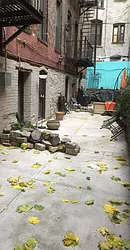 Rented by Yael Dunsky Real Estate