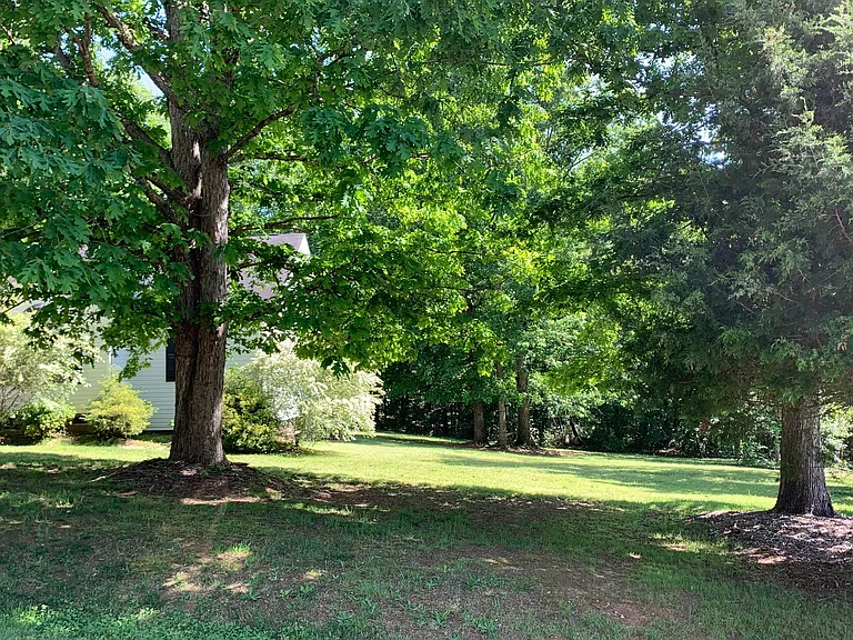 117 Purple Finch Ln — Photo 4