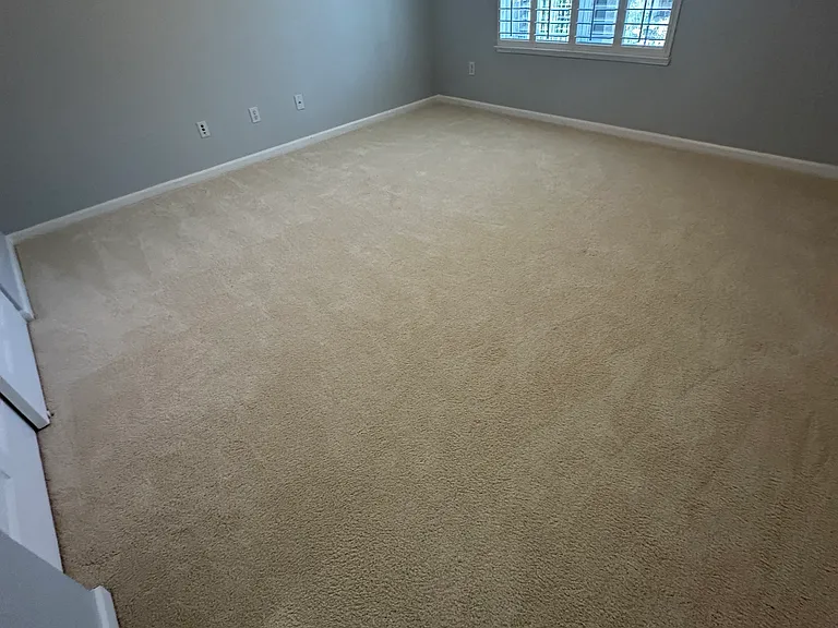 70 Jade Tree Cir — Photo 19