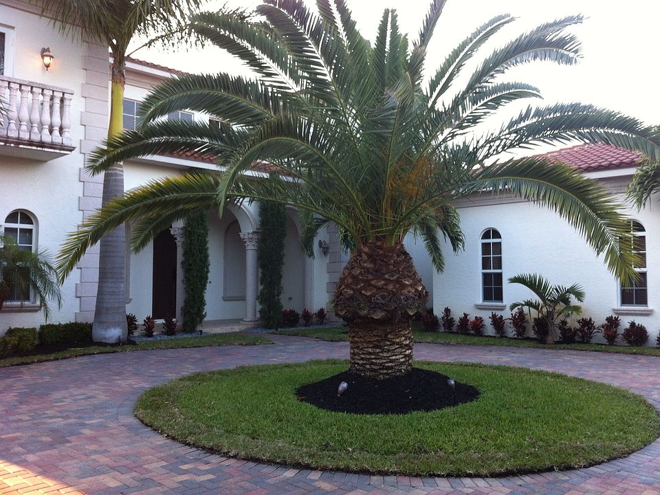 1st image of 2121 Vitex Ln