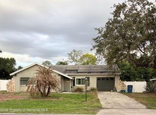 1362 Waterfall Dr, Spring Hill, FL 34608