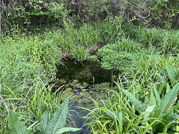 2nd image of Cedar Grove Rd