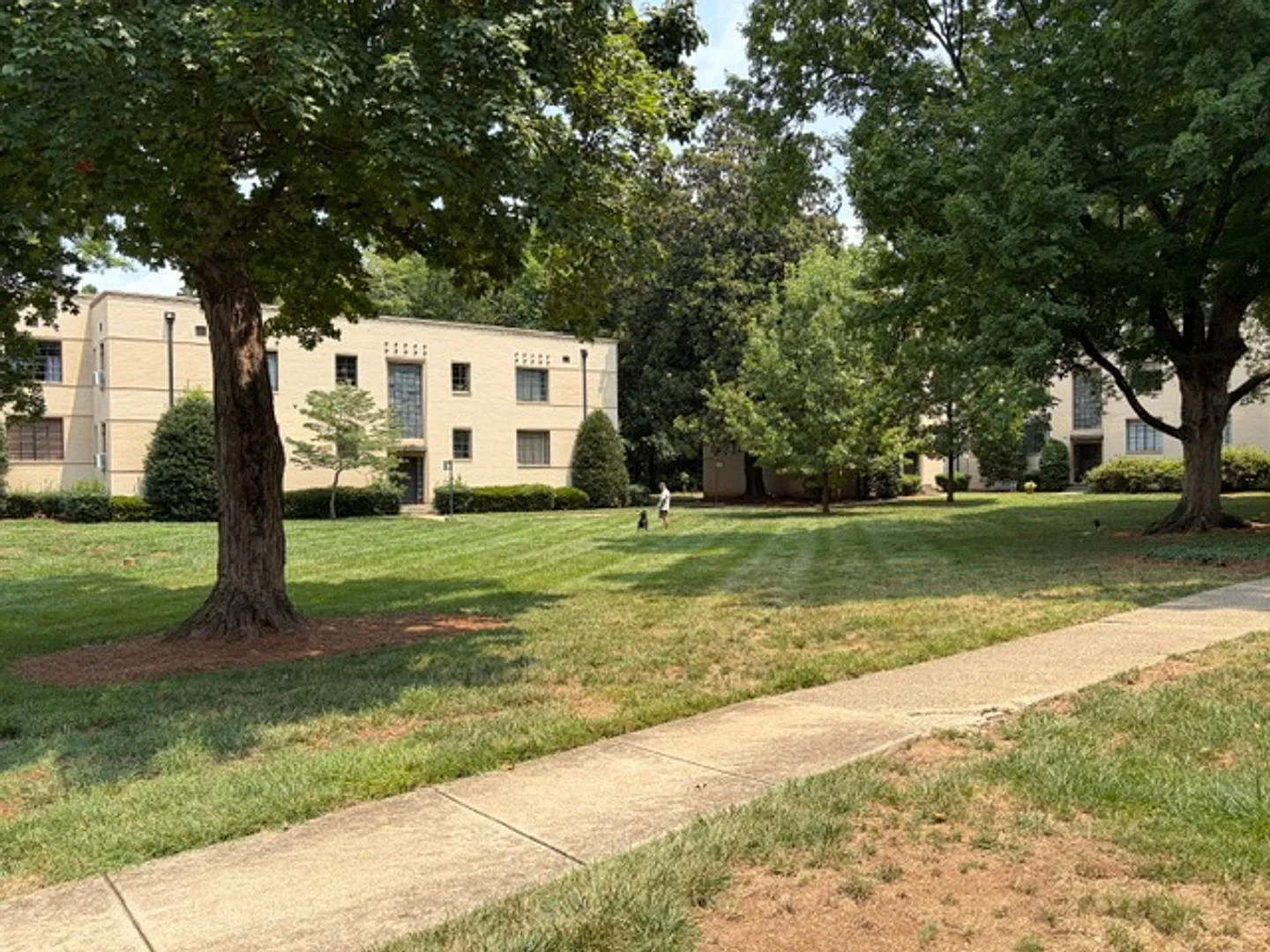 1/2 Month Off Special - Dilworth -Historic Myrtle Sq 1 Bed 1 Bath Condo — Photo 3