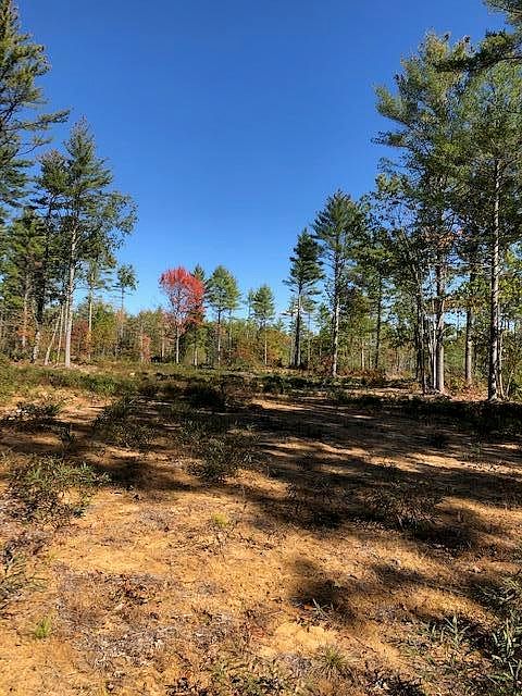 2nd image of Lot 1 Saco Road