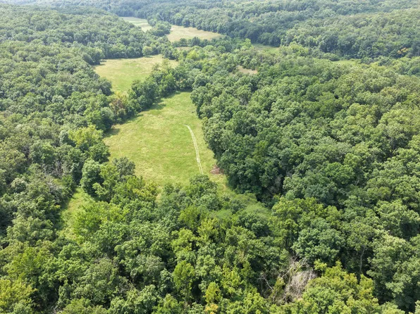 Lake Trail Ln, Gravois Mills, MO 65037