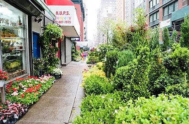 Rented by Bold New York